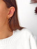 Perforación de espinas