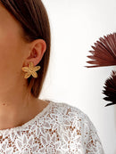 Pendientes brillantes