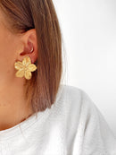 Boucles Noe