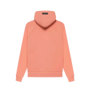 Hoodie Essentials Coral - Corail - Mixte