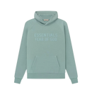 Hoodie Essentials Sycamore - Vert - Mixte