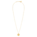 Collar de pez galaxia dorado