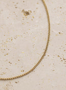 Bracelet Chaîne Gama