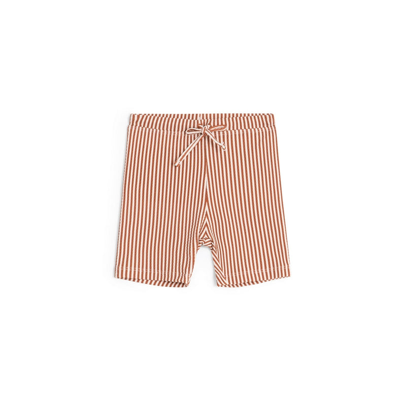 Uv Swim Shorts - Stripe Rust