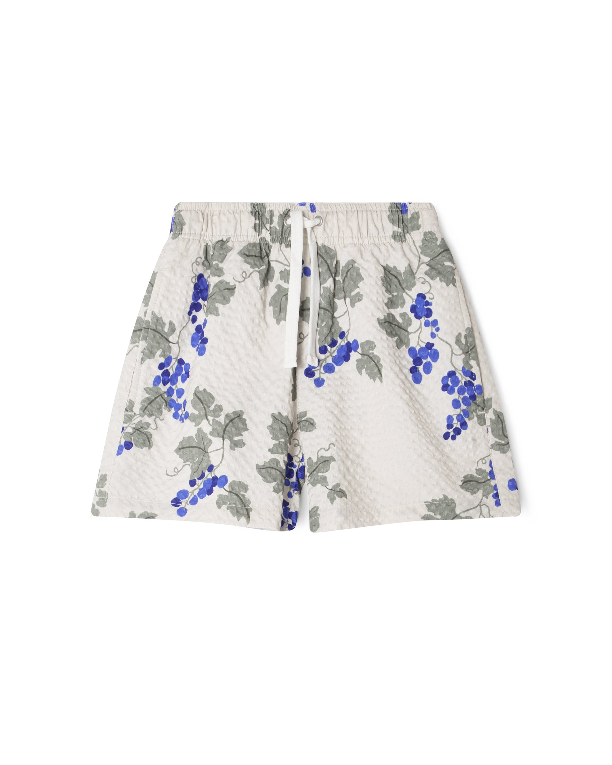 Short De Bain - Bleu Raisin