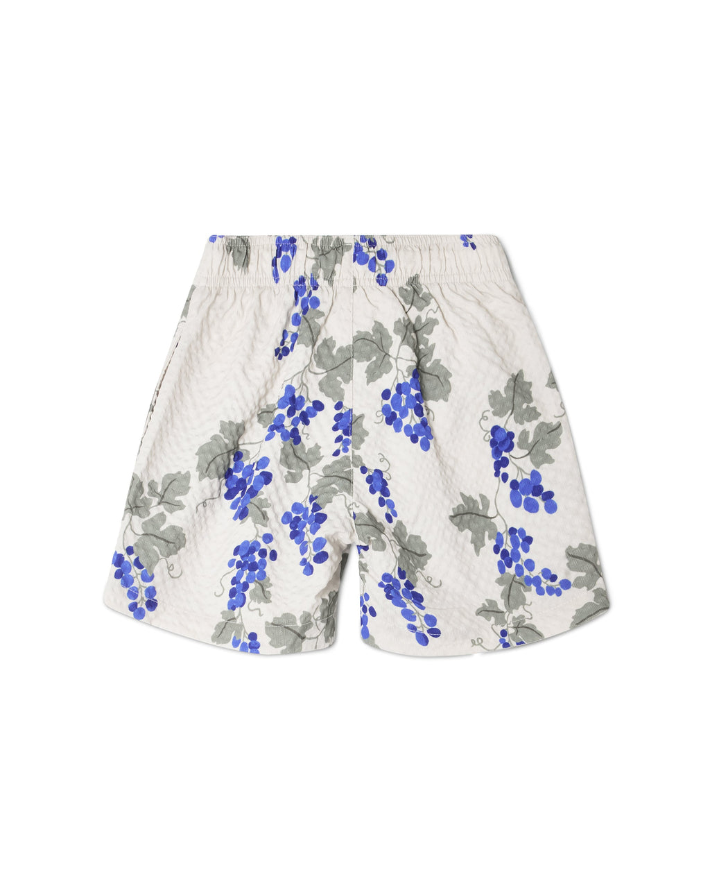 Short De Bain - Bleu Raisin