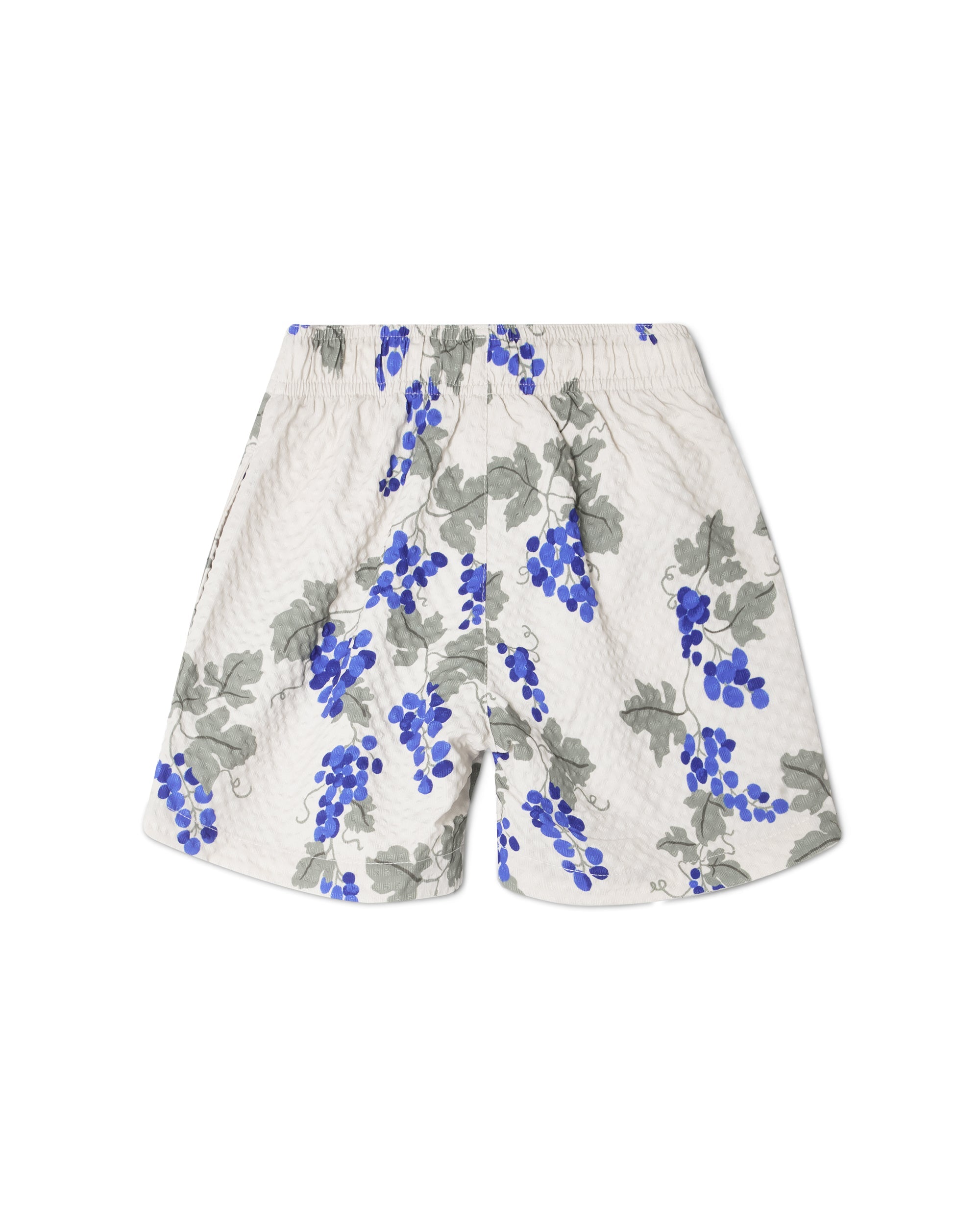 Short De Bain - Bleu Raisin