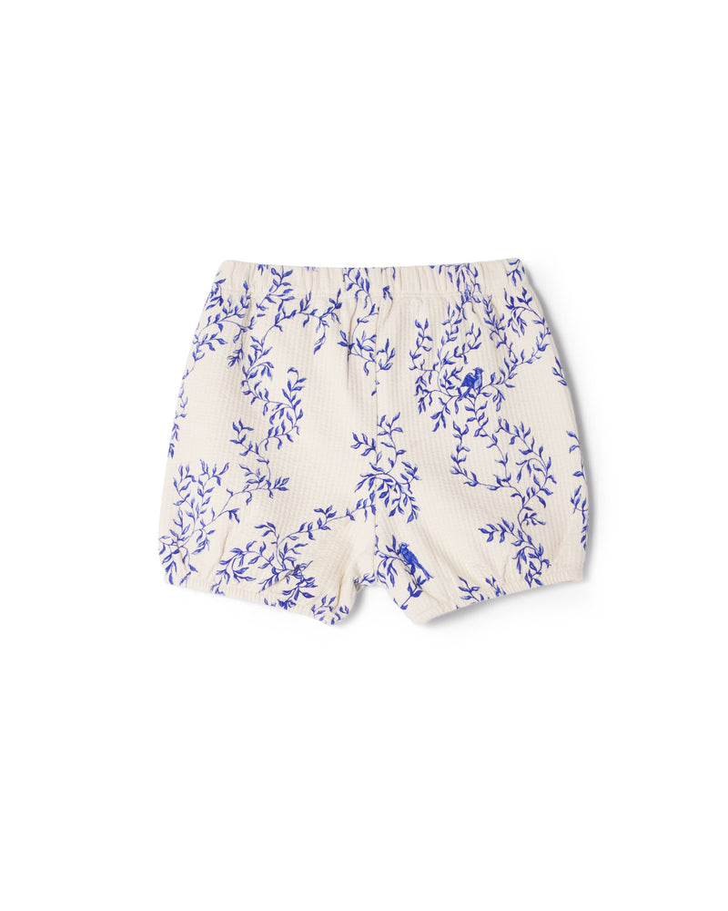 Structured Jersey Shorts For Baby - Jardim
