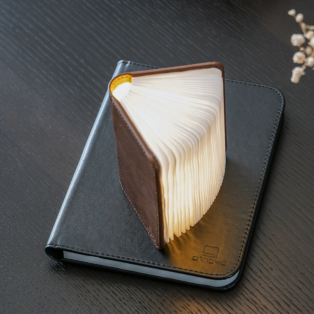 Lampe Smart Book LED - Cuir Marron - 2 Tailles