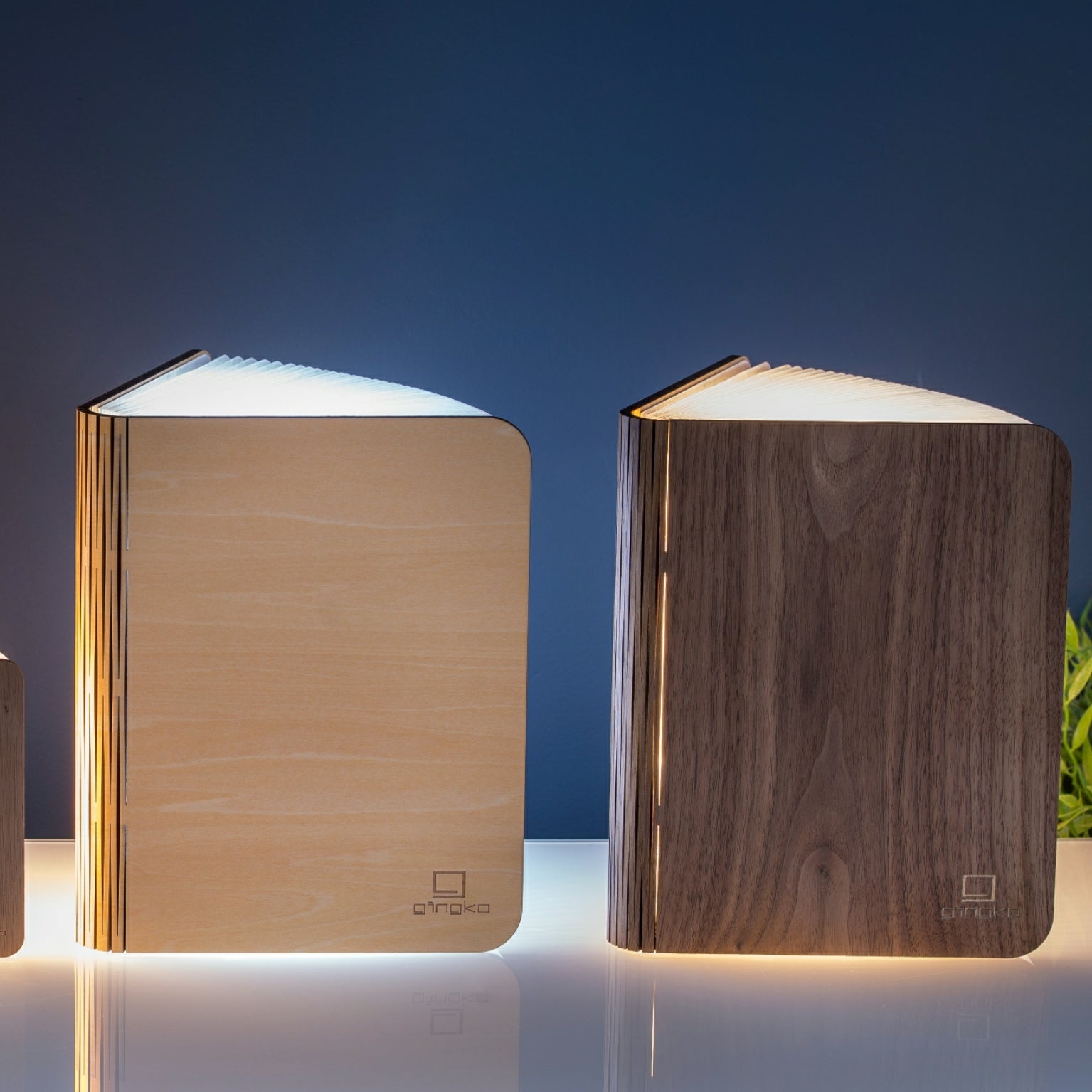 Lampe Smart Book LED - Erable - 2 Tailles