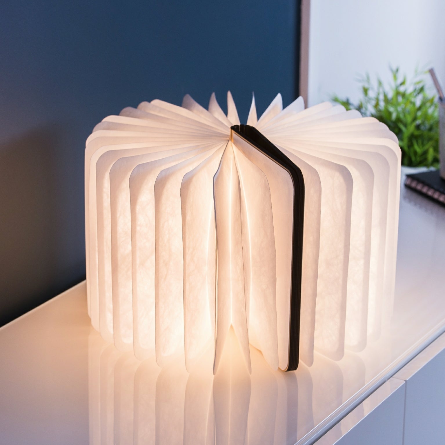 Lampe Smart Book LED - Erable - 2 Tailles