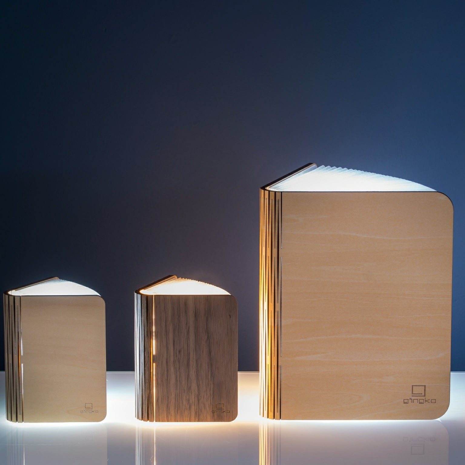 Lampe Smart Book LED - Erable - 2 Tailles