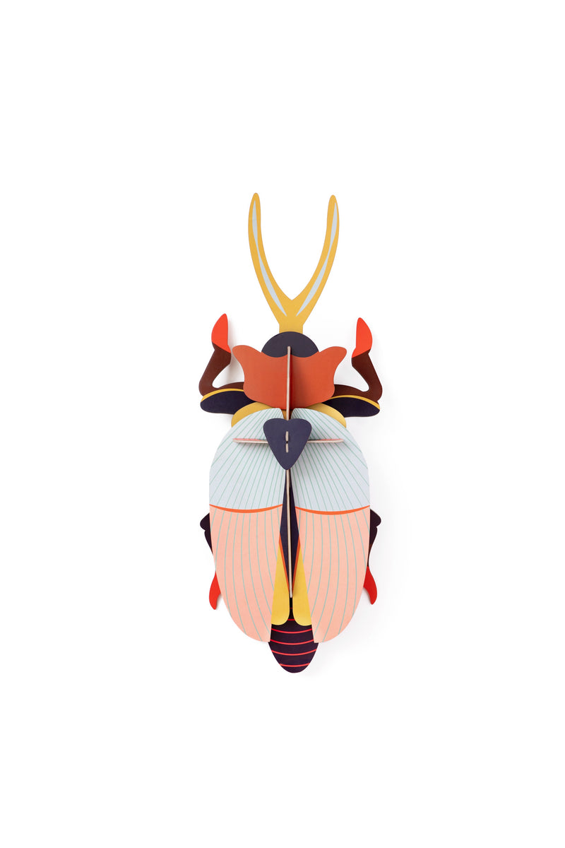 Deluxe Rhinoceros Beetle