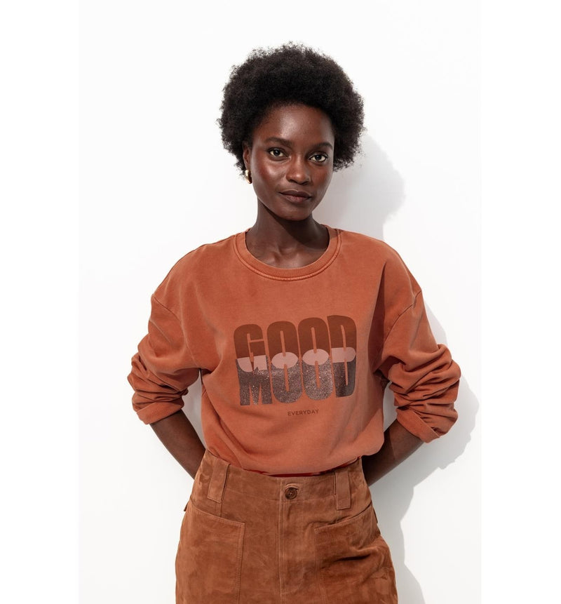 Sweat-shirt Oversize Femme - Marron Imprime
