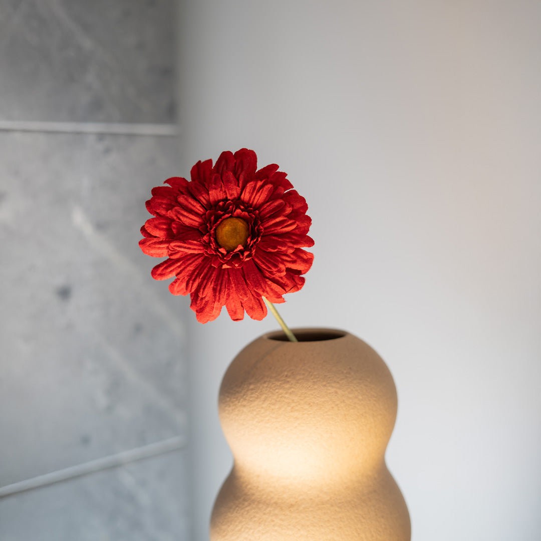 Gerbera di Carta Rossa