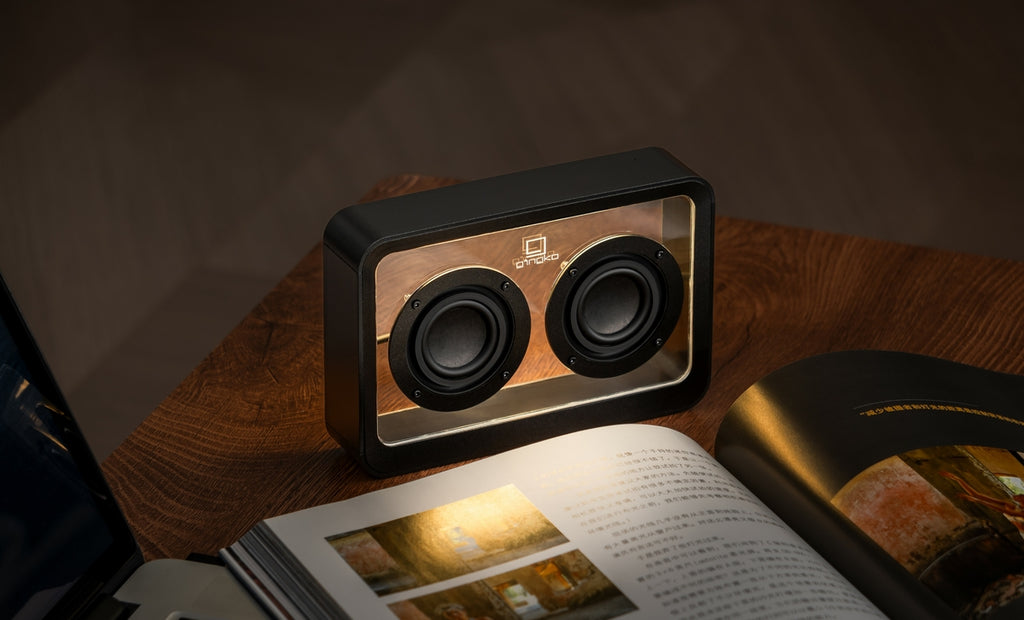 Enceinte Mage Bluetooth Transparente - Bois Noir