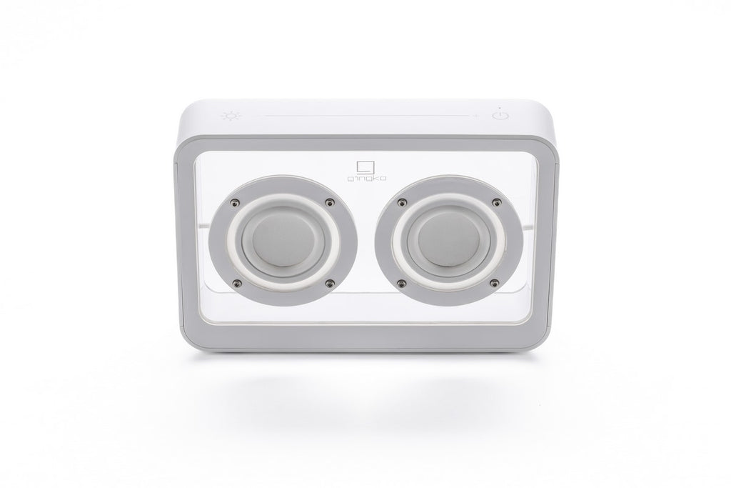 Enceinte Mage Bluetooth Transparente - Bois Blanc