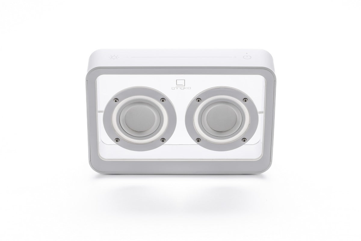 Enceinte Mage Bluetooth Transparente - Bois Blanc