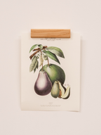 Porte-Affiches Raisin