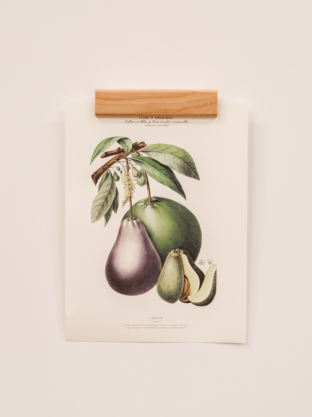 Porte-Affiches Raisin