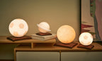 Lampe Lewis Football - Bois - 2 Tailles
