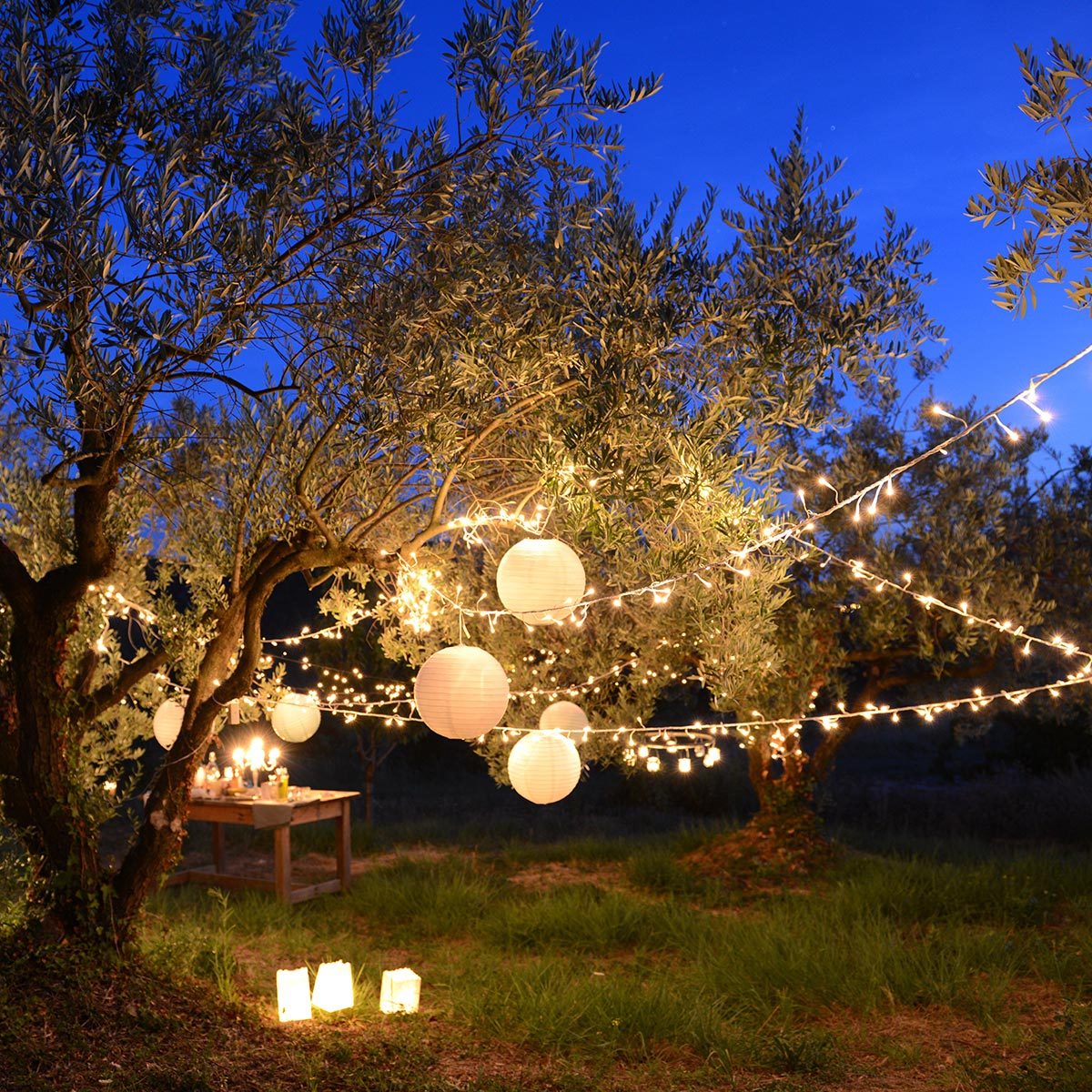 Guirnalda luminosa solar decoración exterior 400 LED blanco cálido YOGY SOLAR WARM 33,90m 8 modos - REDDECO.com