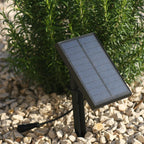 Guirnalda de luz solar 10 bombillas vintage de filamento LED blanco cálido MAFY SOLAR 6,50m - REDDECO.com
