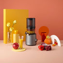 Slow Juicer - Serie H201 - Titanio