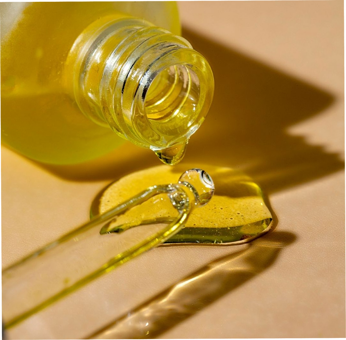 Aceite de avellana francesa