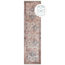 Dion Washable Hallway Rug