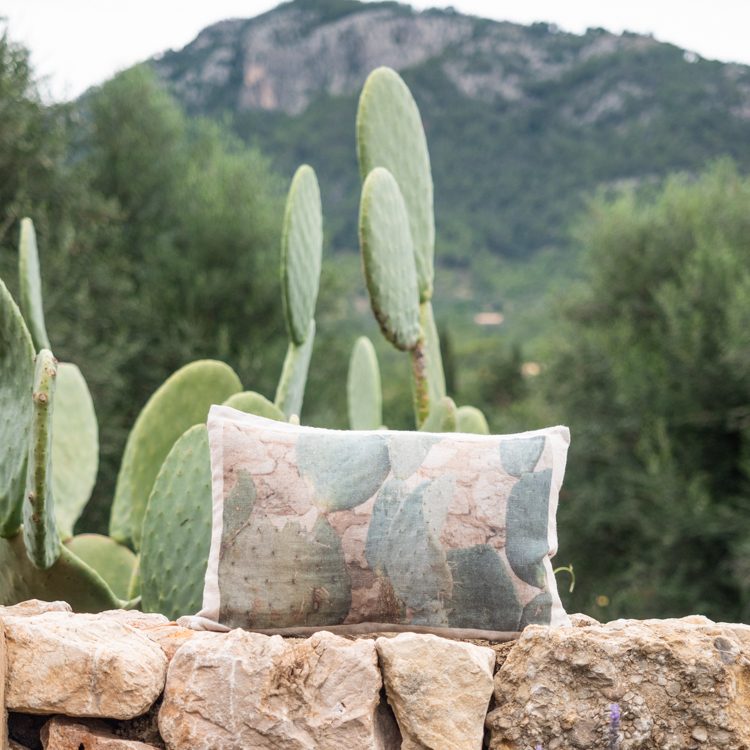Housse De Coussin En Lin Lavé Hnatureinside - Cactus