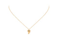 Collar Cuerno Turquesa