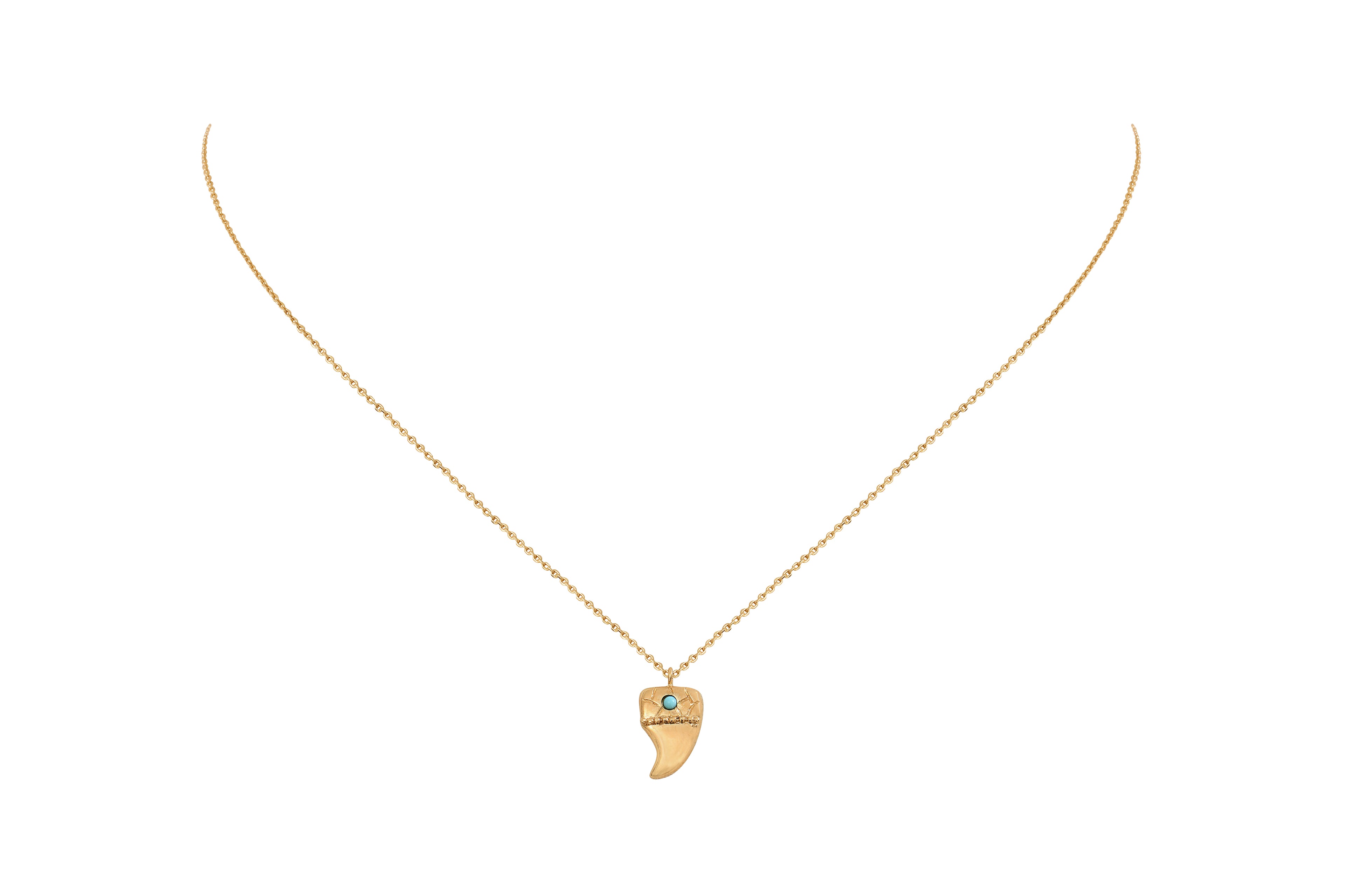 Collar Cuerno Turquesa