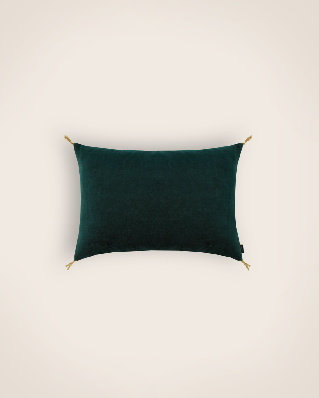 Housse De Coussin - Velours