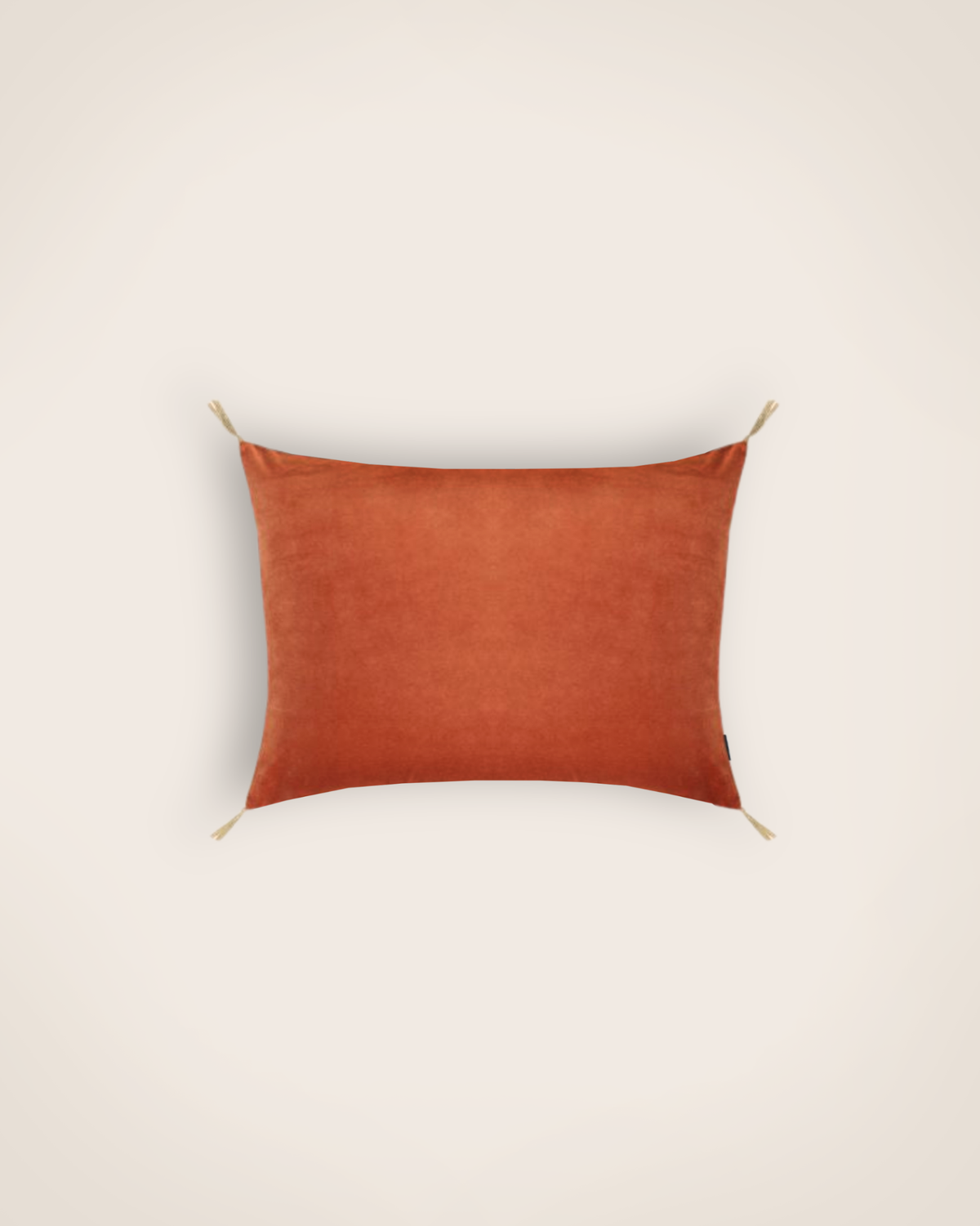 Housse De Coussin - Velours