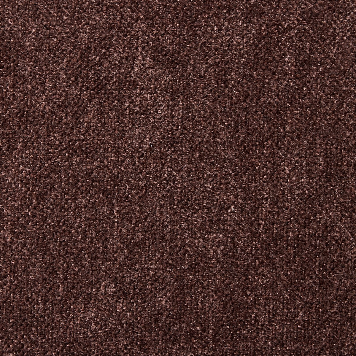 Dulce - Lot de 2 Chaises en Tissu Chenille et Piètement Chromé - Marron