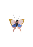 Gold Rim Butterfly