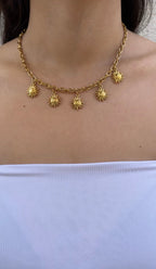 Collar multisolar