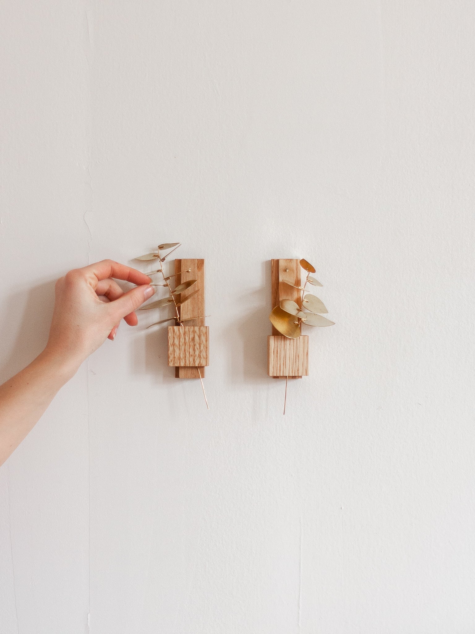Soliflore Hirondelle