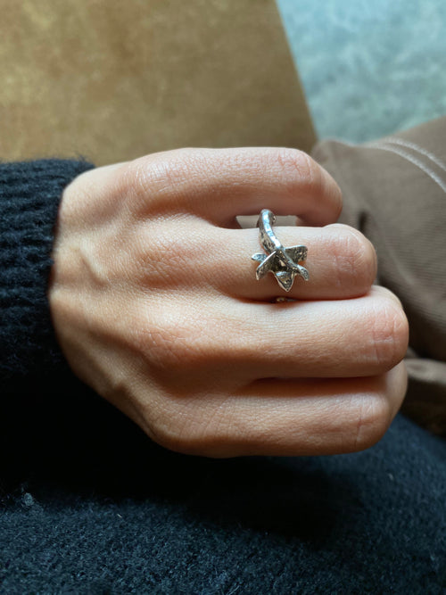 Anillo de resorte de palma
