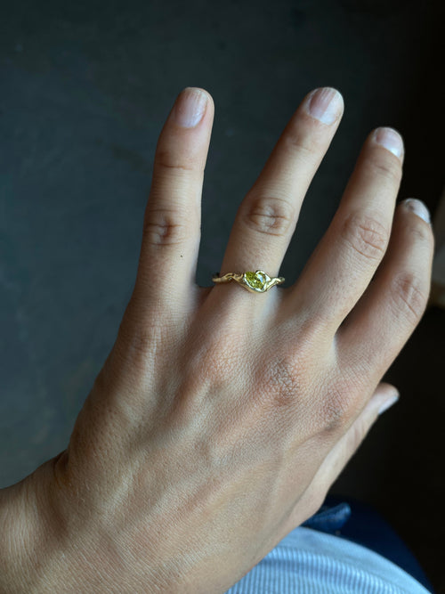 Un Anillo de Hechizo de Amor - Limón