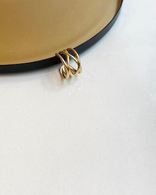 Boucle D'Oreille À L'Unité Xav