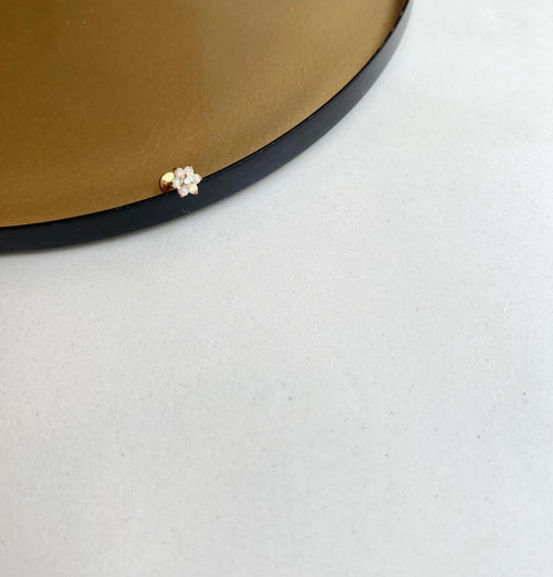 Boucle D'Oreille À L'Unité Louane
