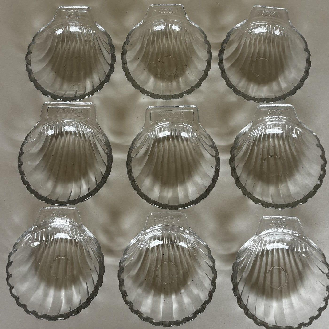 9 Coupelles Coquillage