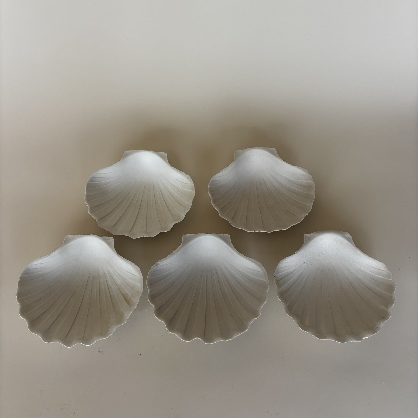 Coupelles Coquillages