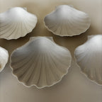 Coupelles Coquillages