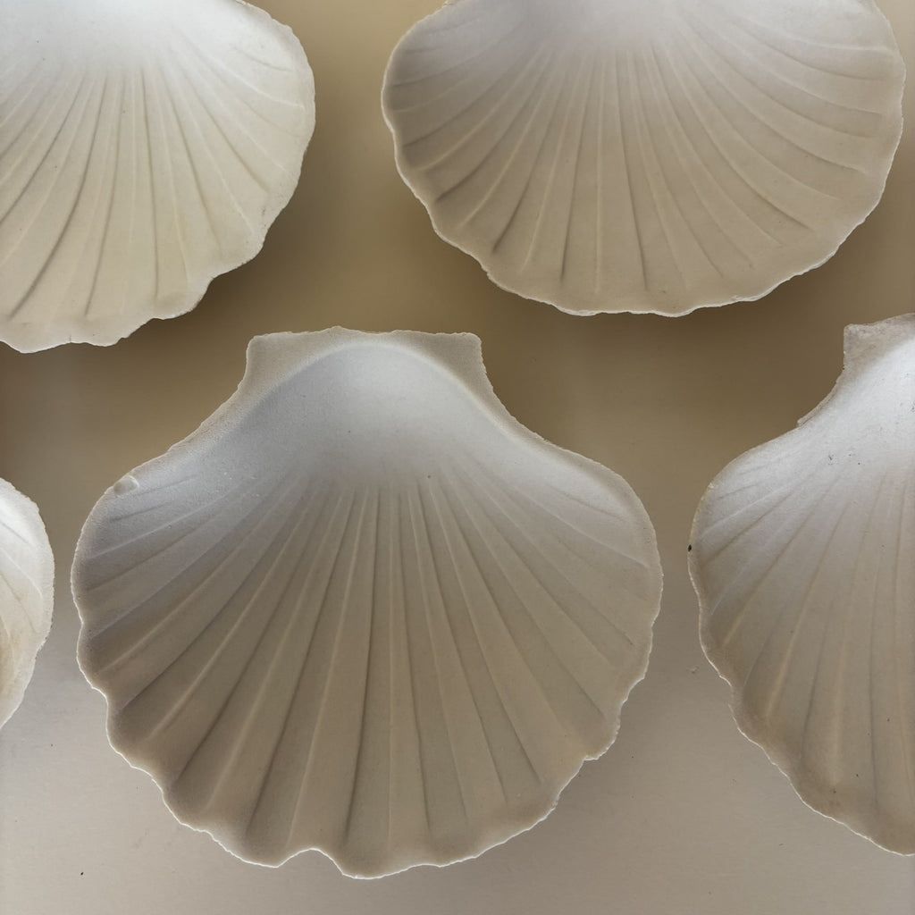 Coupelles Coquillages