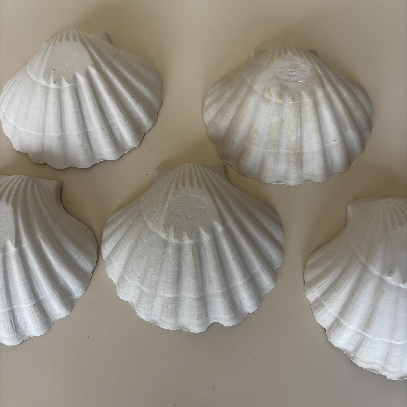 Coupelles Coquillages
