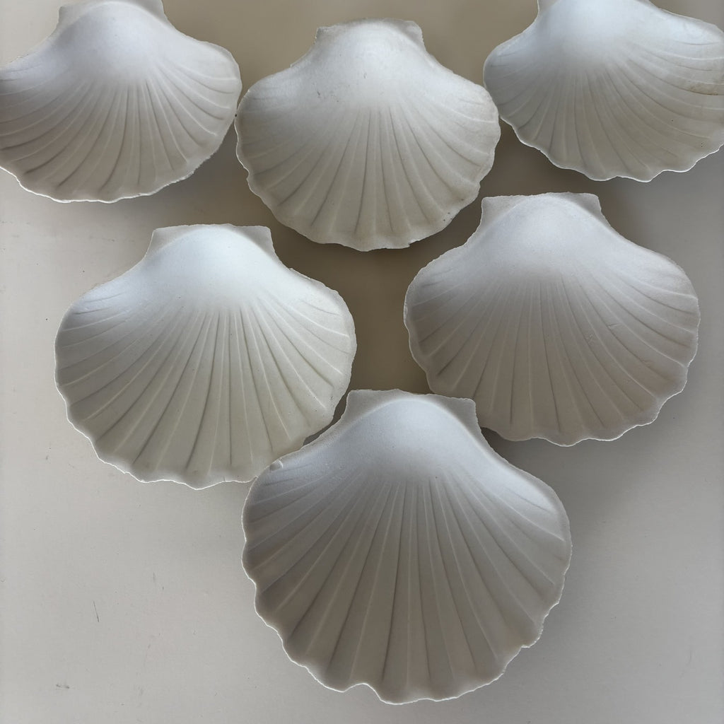 Coupelles Coquillages