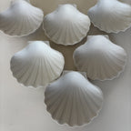 Coupelles Coquillages